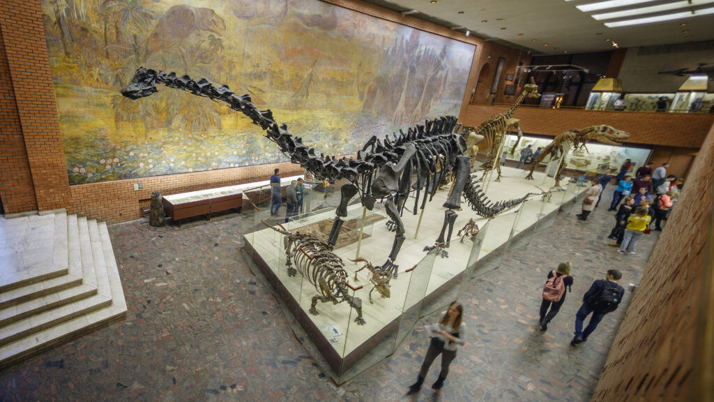 Russia Moscow February 16, 2020: Paleontological Museum named after Yu.A. Orlova. A huge dinosaur skeleton in the center of the exhibition hall.